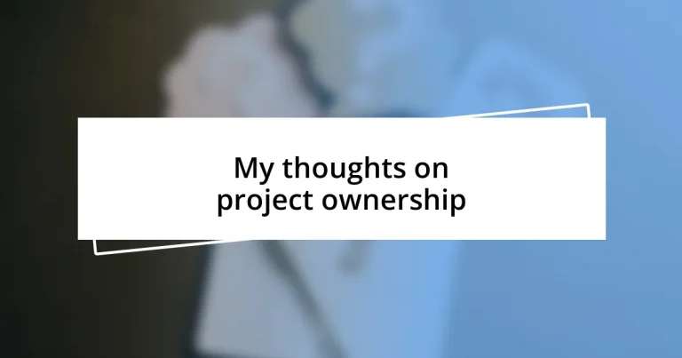 My thoughts on project ownership