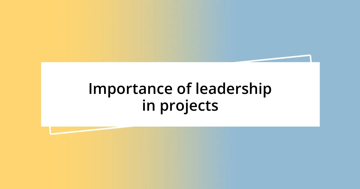 Importance of leadership in projects