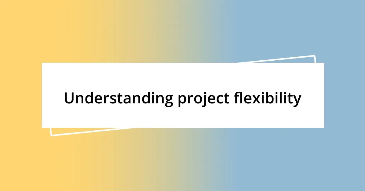 Understanding project flexibility