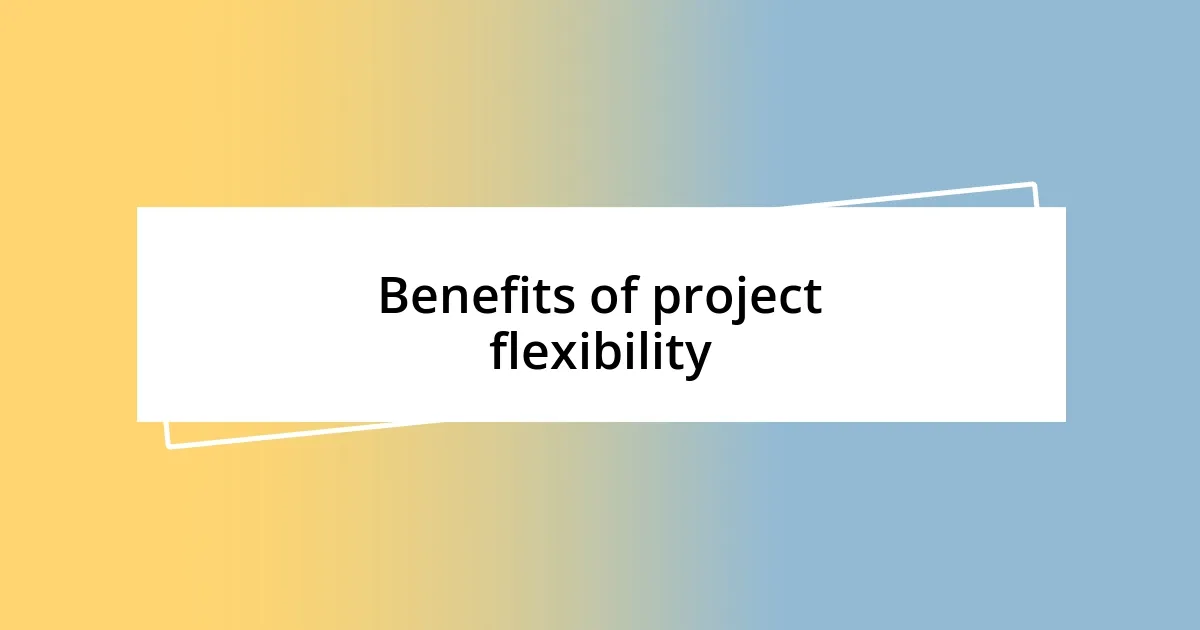 Benefits of project flexibility