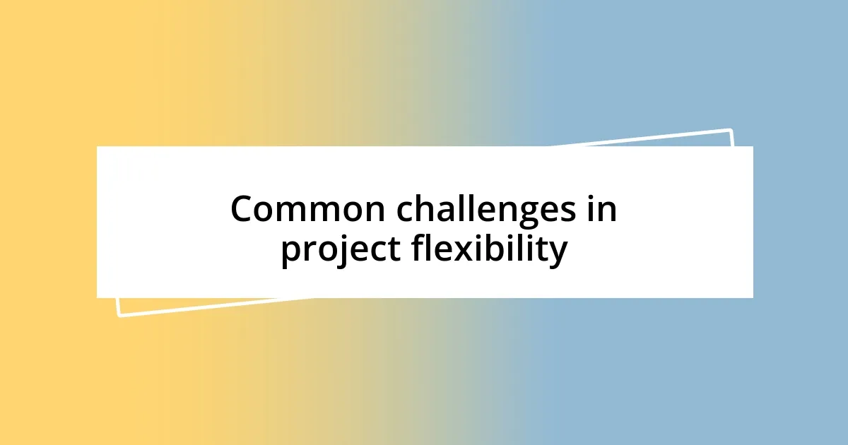 Common challenges in project flexibility