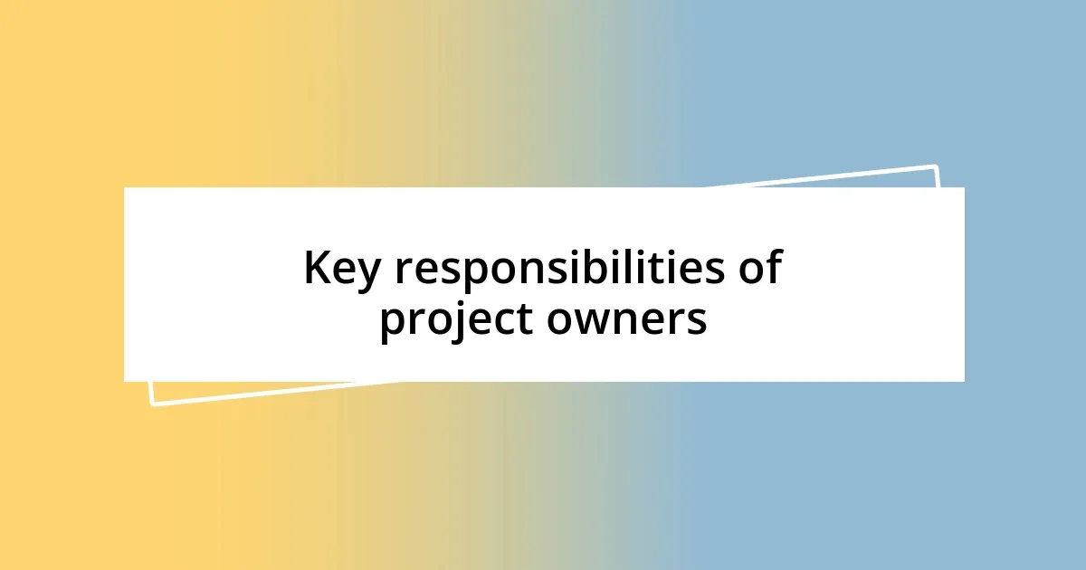 Key responsibilities of project owners