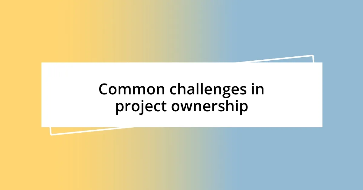 Common challenges in project ownership