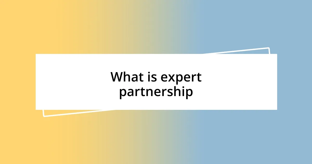 What is expert partnership